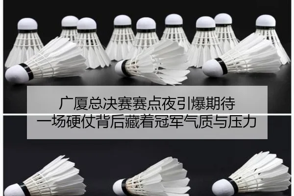 广厦总决赛赛点夜引爆期待 一场硬仗背后藏着冠军气质与压力 - dbdianzi